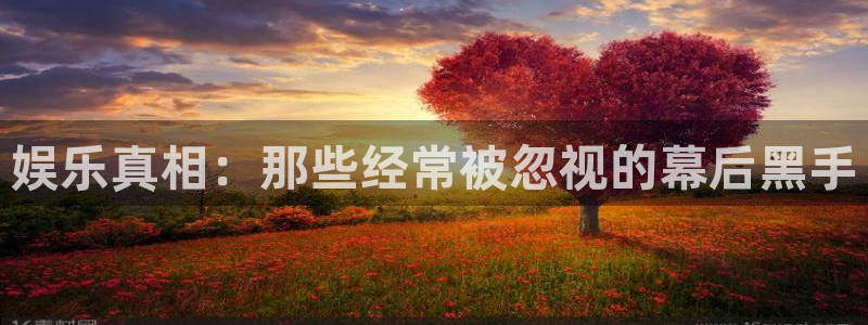 聚富海绵