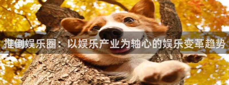 南峰聚富家园