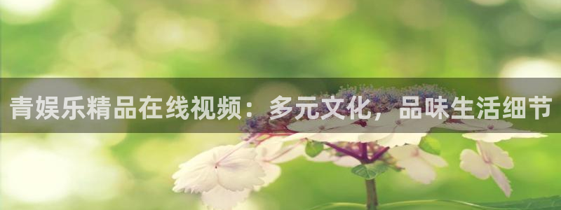 工银聚富通：青娱乐精品在线视频：多元文化，品味生活细节