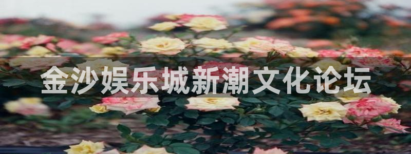 东莞聚富花园：金沙娱乐城新潮文化论坛