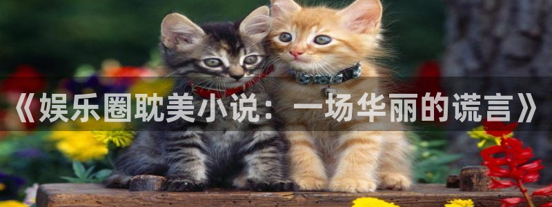 重庆聚富集团：《娱乐圈耽美小说：一场华丽的谎言》
