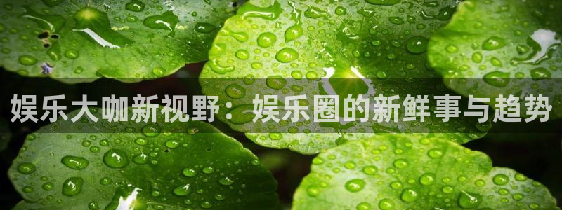 工银聚富安全吗：娱乐大咖新视野：娱乐圈的新鲜事与趋势