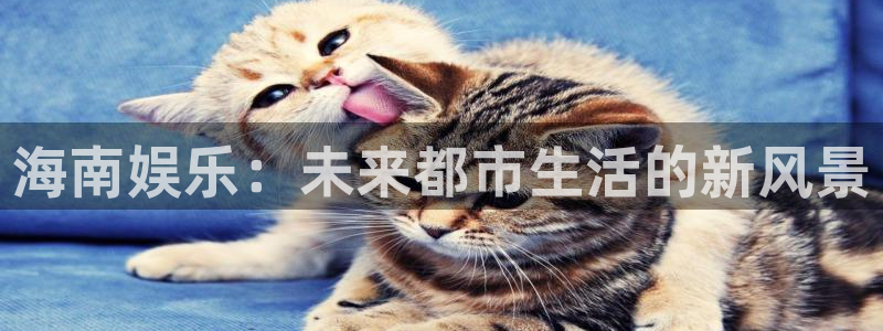 东莞市聚富金属制品有限公司：海南娱乐：未来都市生活的新风景