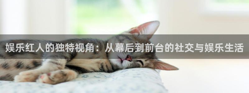 工银聚富怎么样：娱乐红人的独特视角：从幕后到前台的社交与娱乐生活