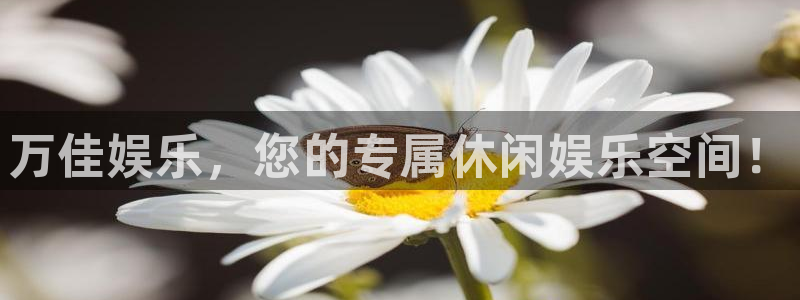 山东聚富金属制品有限公司：万佳娱乐，您的专属休闲娱乐空间！
