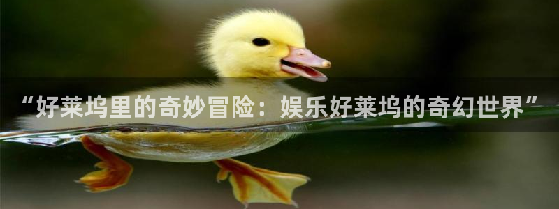 聚富五步：“好莱坞里的奇妙冒险：娱乐好莱坞的奇幻世界”