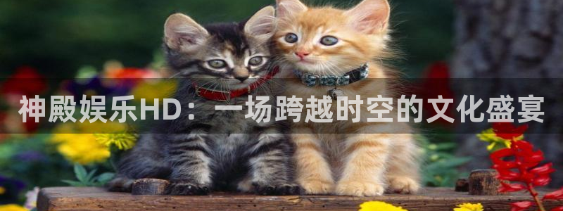 聚富网：神殿娱乐HD：一场跨越时空的文化盛宴