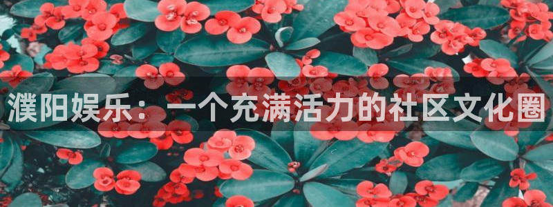 山东聚富金属制品有限公司：濮阳娱乐：一个充满活力的社区文化圈