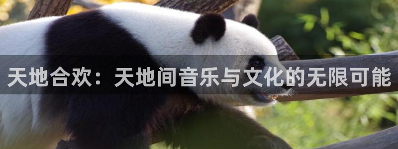 聚富宝：天地合欢：天地间音乐与文化的无限可能