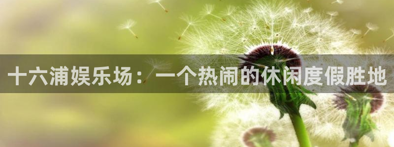 聚富通风设备有限公司：十六浦娱乐场：一个热闹的休闲度假胜地