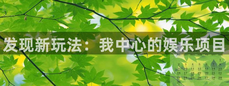 重庆聚富集团：发现新玩法：我中心的娱乐项目