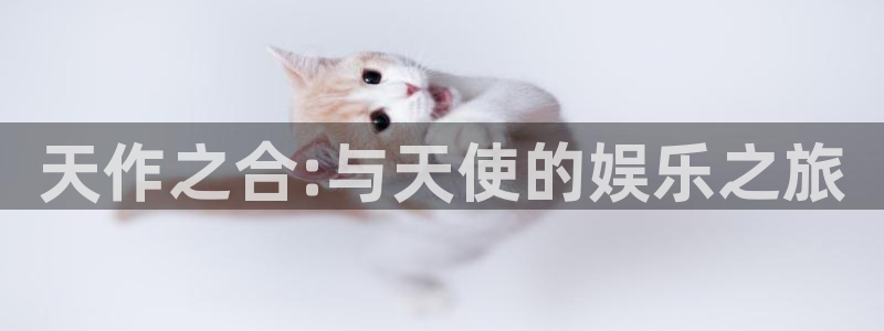 上海灿虹聚富大厦办公楼出租：天作之合:与天使的娱乐之旅