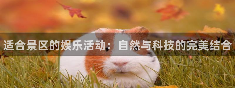 聚富welcome官网：适合景区的娱乐活动：自然与科技的完美结合