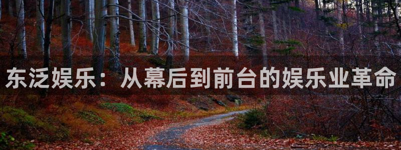盘锦聚富圣会保健价格：东泛娱乐：从幕后到前台的娱乐业革命