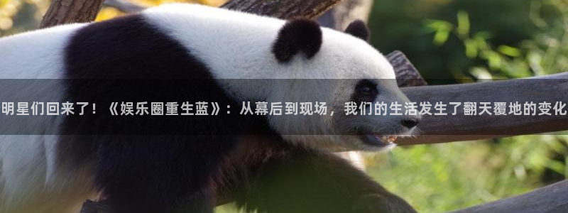 厦门聚富塑胶制品有限公司：明星们回来了！《娱乐圈重生蓝》：从幕后到现场，我们的生活发生了翻天覆地的变化