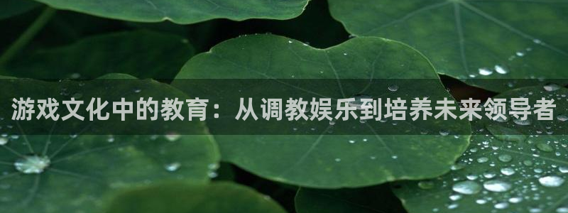 聚富宝袋：游戏文化中的教育：从调教娱乐到培养未来领导者
